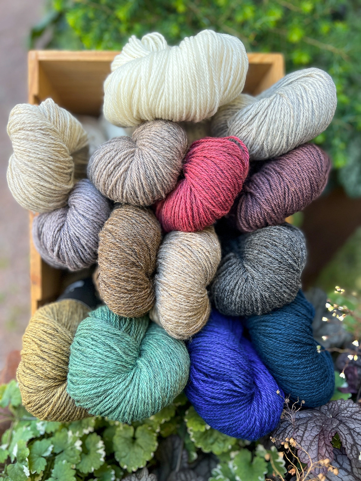 Isager Jensen Yarn