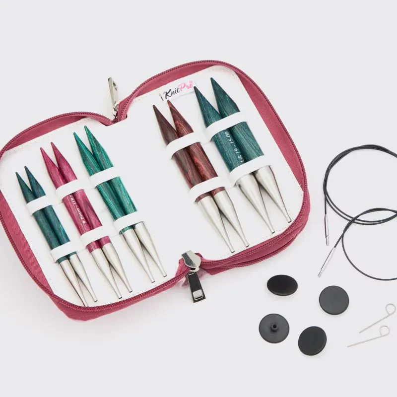 KnitPro Dreamz Chunky Interchangeable Needle Set