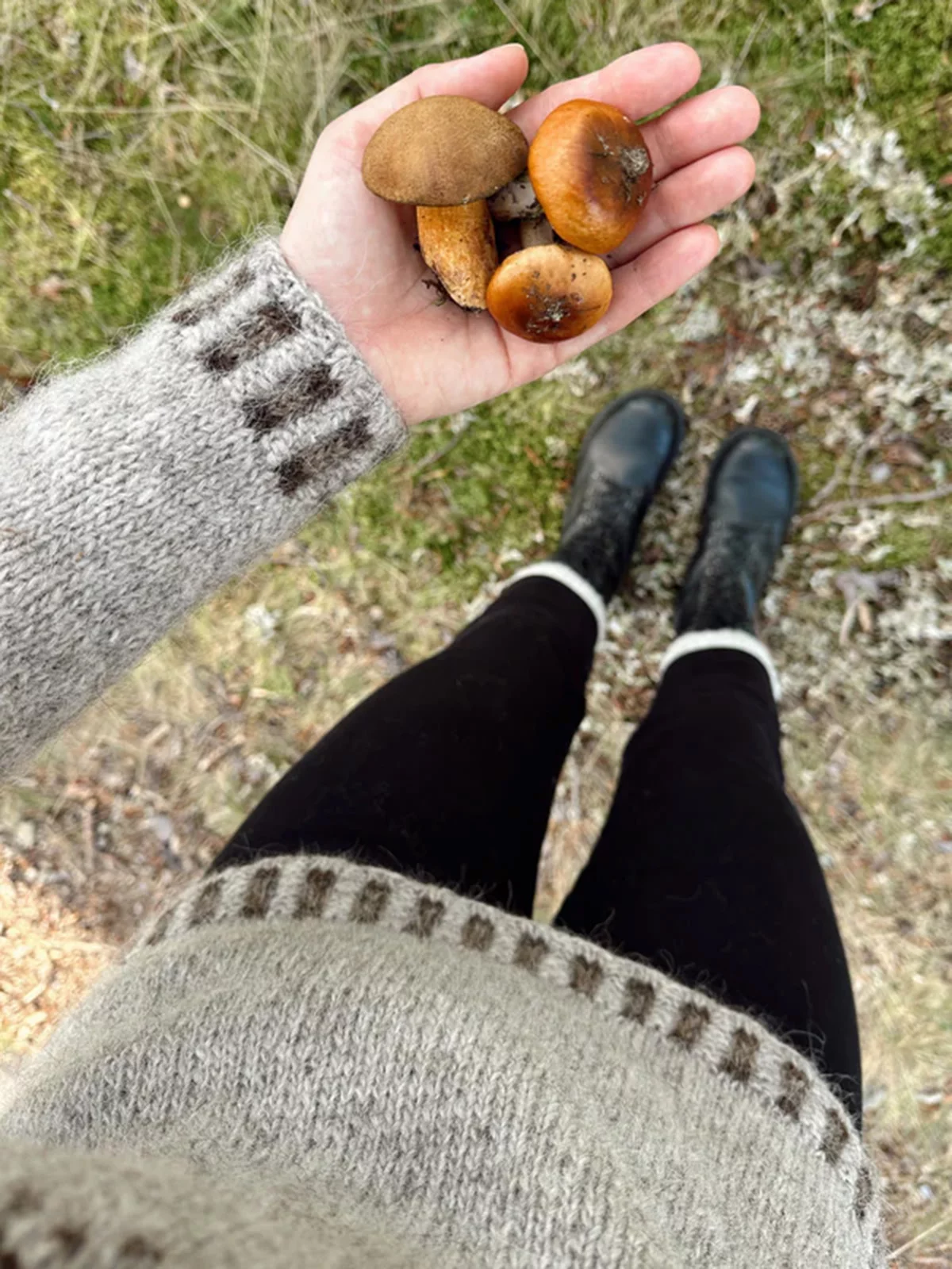Sisu Knitwear Acorn Sweater
