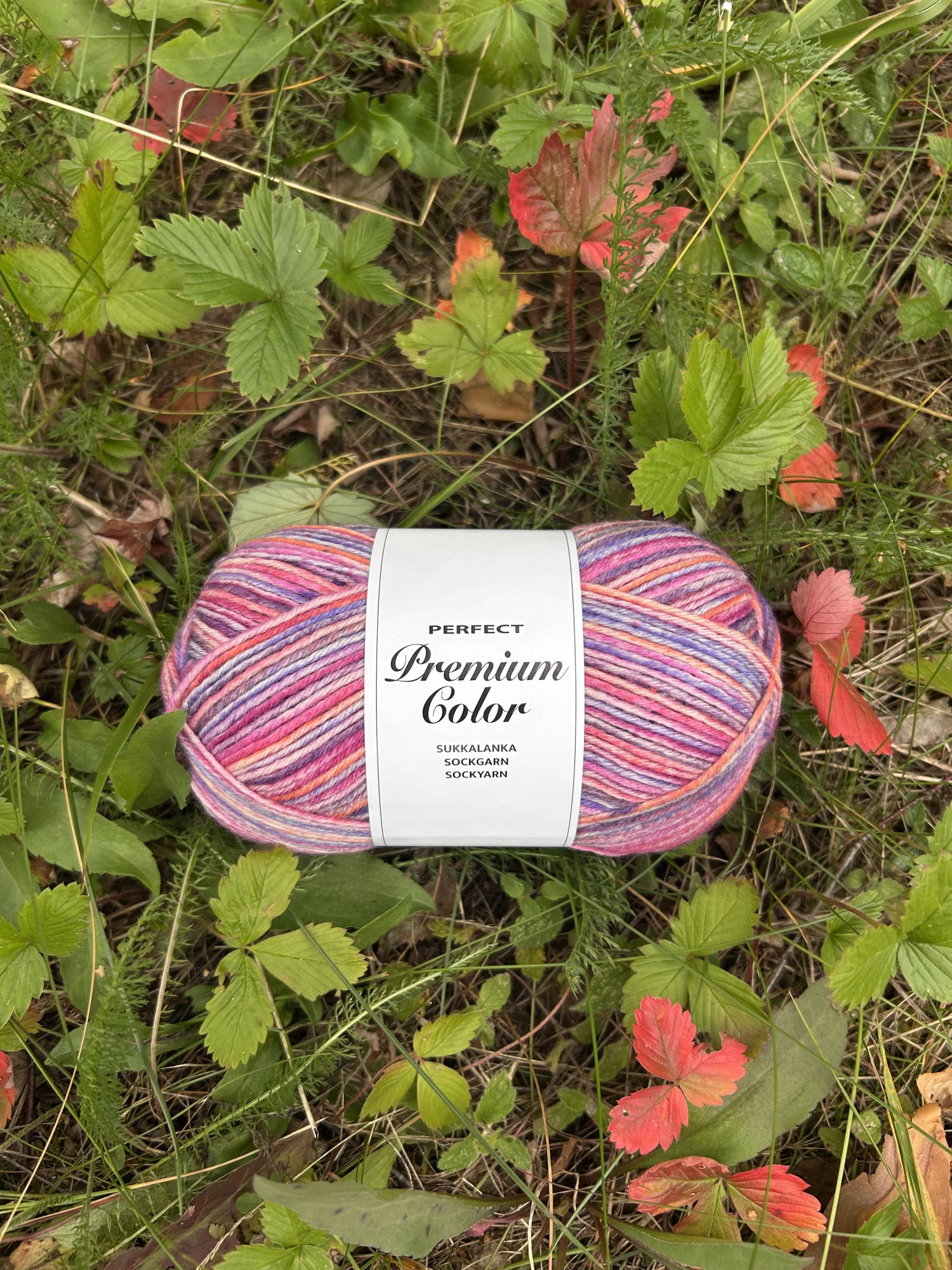 Perfect Premium Color 100g sukkalanka