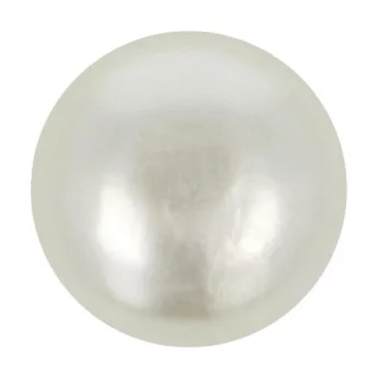 Shank Button Mother of Pearl