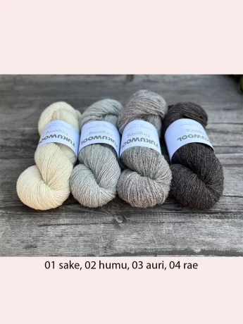 Tukuwool Fingering  Fade-setti 5