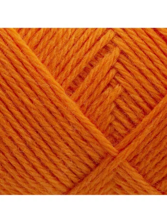 365 Calendula