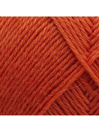 198 Tangerine