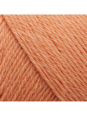 254 Coral