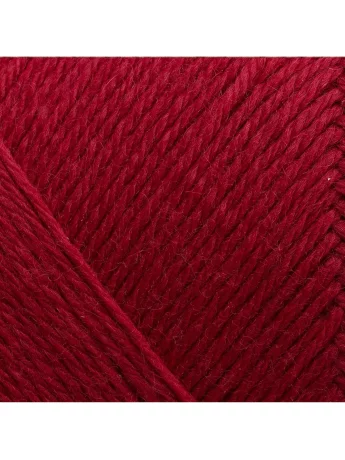317 Cerise