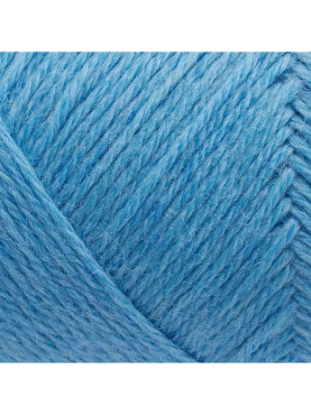 141 Alaskan Blue