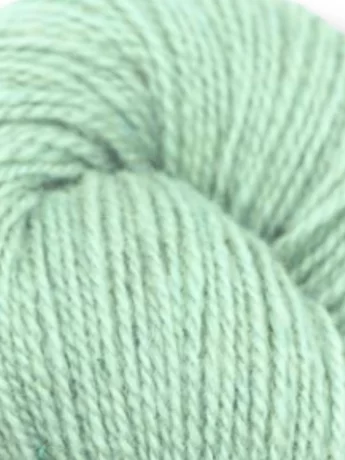 100g 52 Mint