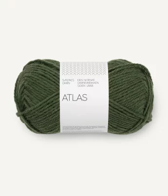 8571 Dark Forest Green