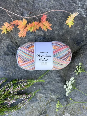 perfect-premium-color-100g-sock-yarn-06a86db9195430.jpg