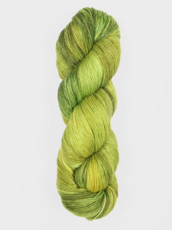 Symfonie Terra Macha